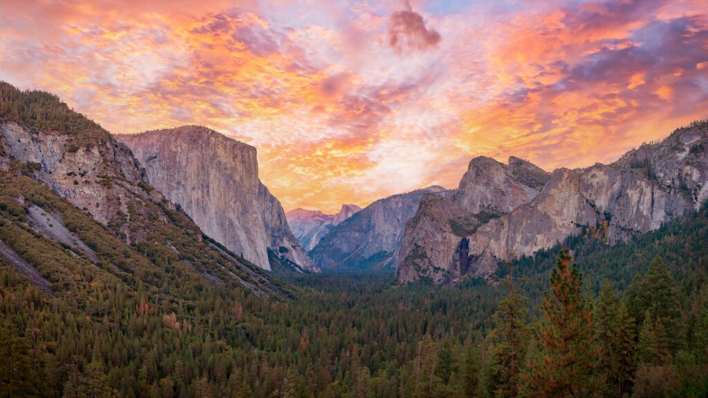 Yosemite Under Canvas