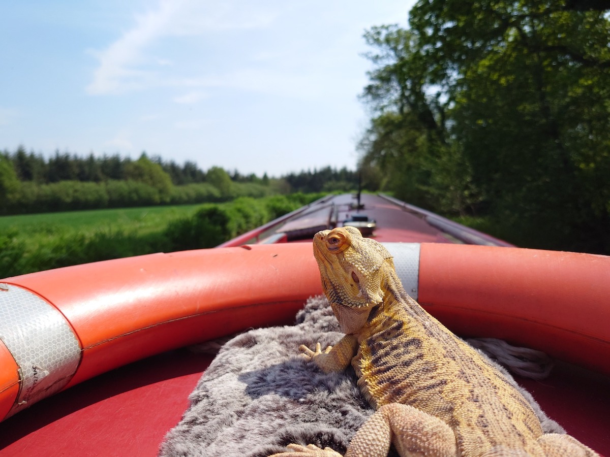 Wales Canal boating 