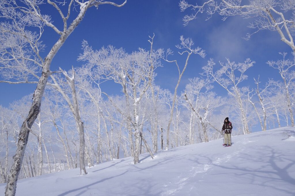 Japan Winter