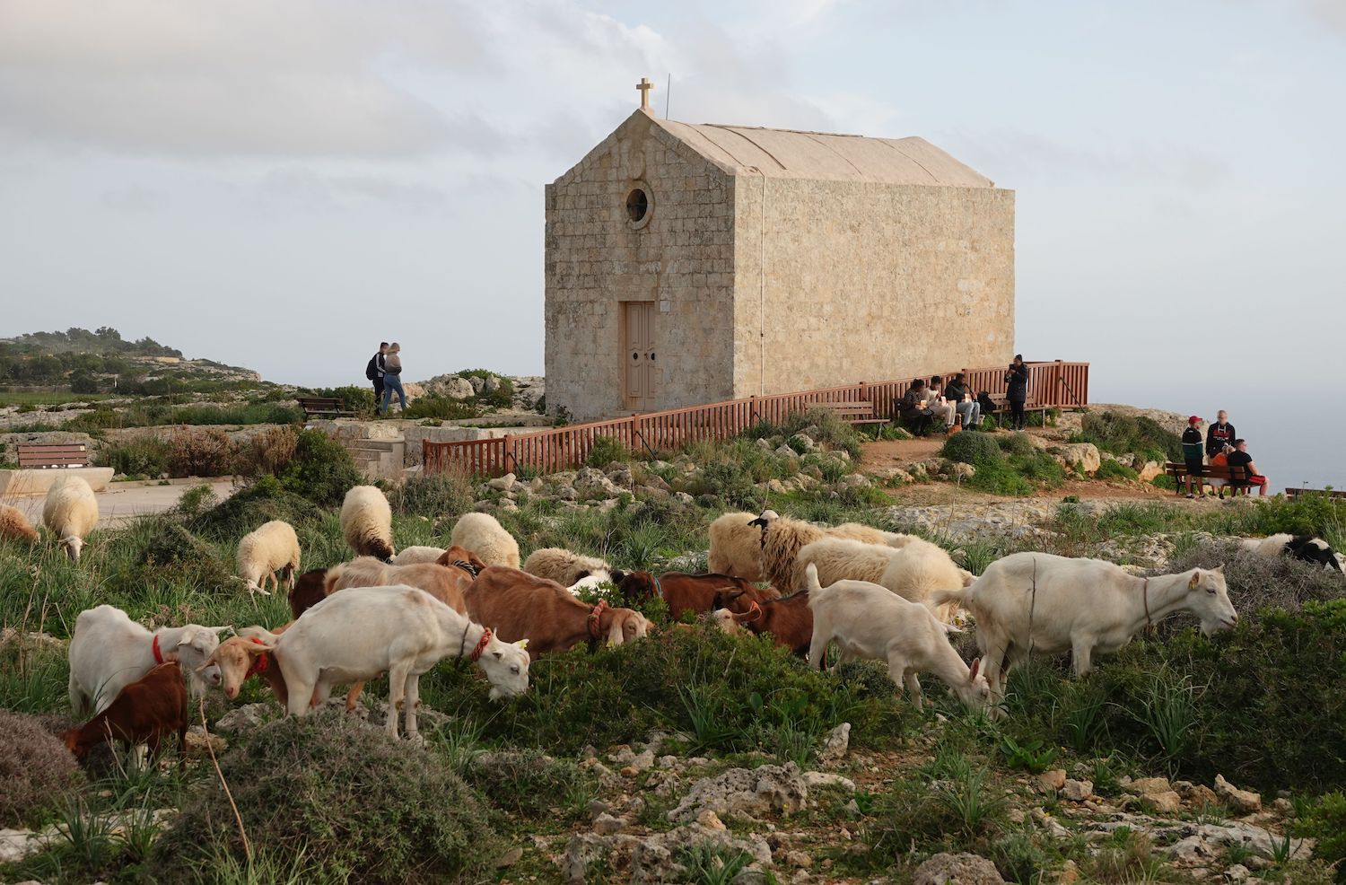 Malta Dingli Cliffs