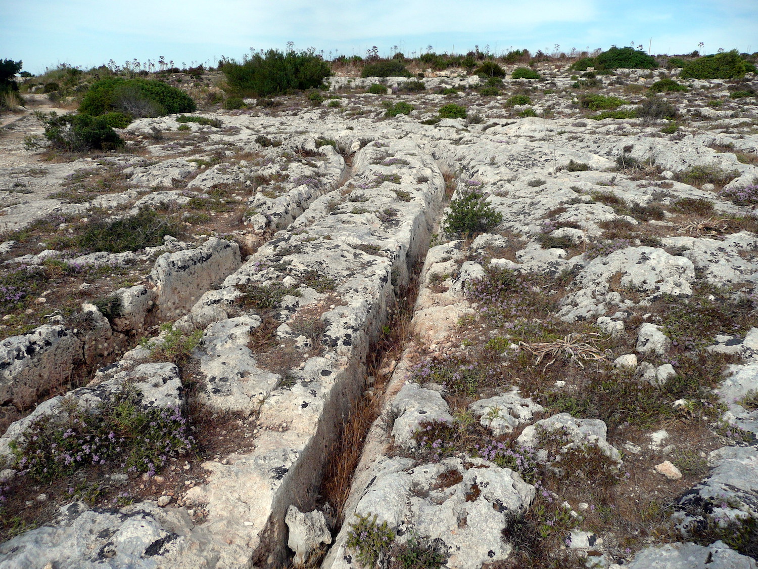 Malta Dingli Cliffs