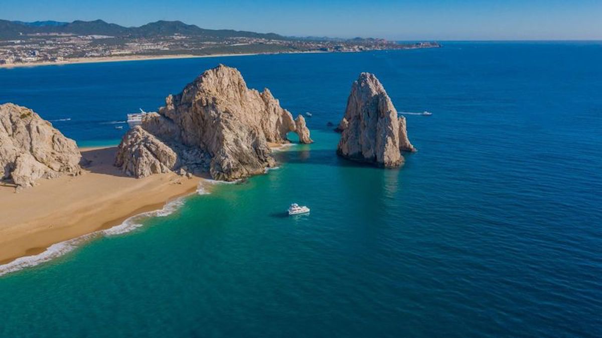 Cabo whale watching