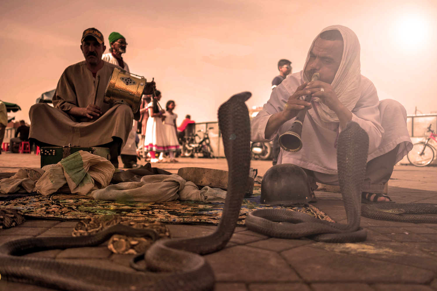 Marrakesh 